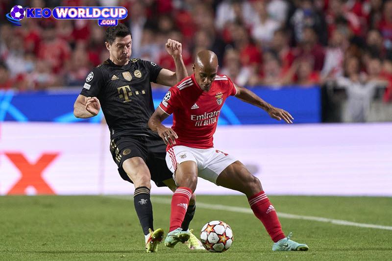 tỷ lệ kèo Benfica vs Bayern Munich