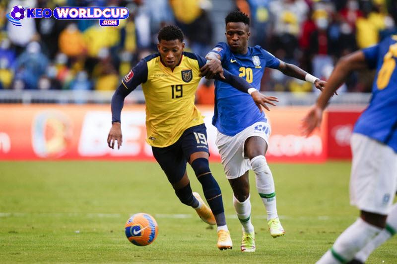tỷ lệ kèo Ecuador vs Brazil
