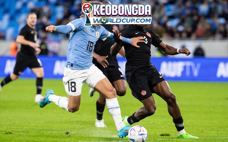 Soi kèo Canada vs Bosnia-Herzegovina, 02h00 ngày 13/06, World Cup 2026